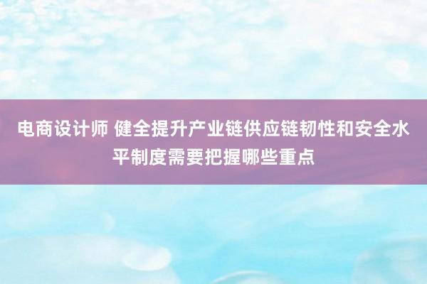 电商设计师 健全提升产业链供应链韧性和安全水平制度需要把握哪些重点